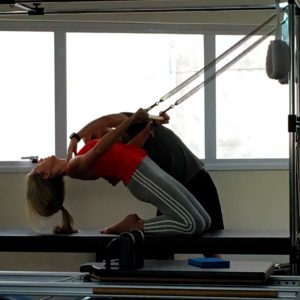 A arte de instruir Pilates - Fabitos